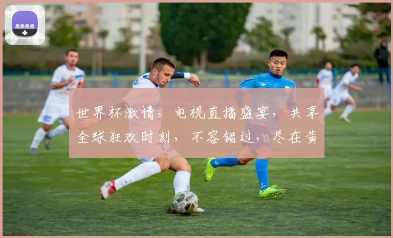 世界杯激情，电视直播盛宴，共享全球狂欢时刻，不容错过，尽在黄金时段