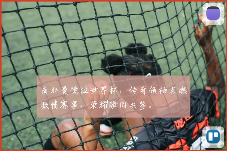 南非曼德拉世界杯，传奇领袖点燃激情赛事，荣耀瞬间共鉴。