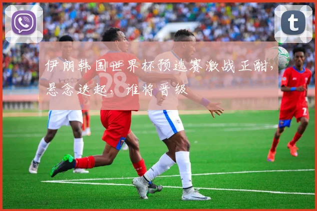 伊朗韩国世界杯预选赛激战正酣，悬念迭起，谁将晋级